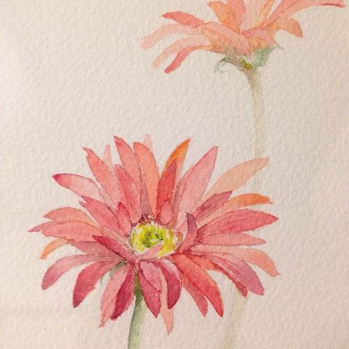watercolor】-gerbera-・ω・ガーベラ【水彩】 - YouTube