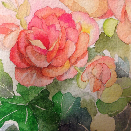 水彩画 リーガースベゴニア 絵画 しまちえ 通販 3274283｜Creema