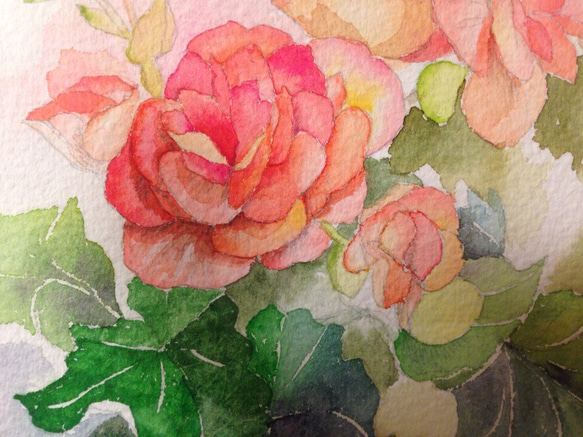 水彩画 リーガースベゴニア 絵画 しまちえ 通販 3274283｜Creema