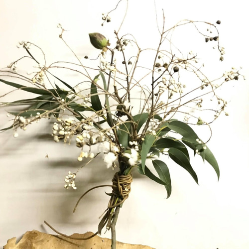 ナンキンハゼ　ドライフラワー ドライフラワー］ナンキンハゼ 商品ページ - 土と風の植物園