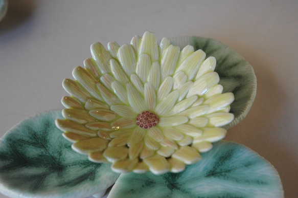 黃菊（三葉一花） 第4張的照片
