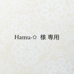 Hamu-✩ 様専用 1枚目の画像