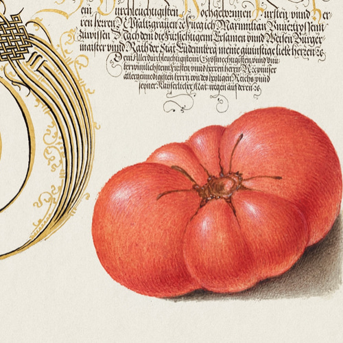 アンティーク品　絵画　油絵　トマト トマトの絵画アートポスター☆赤色夏野菜ナチュラルボタニカルお洒落