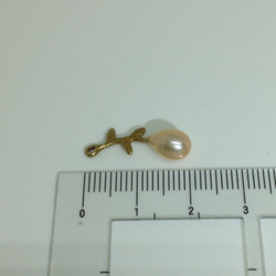 小さなつぼみのピアス・ペンダントトップ  チタンポスト 淡水パール 4枚目の画像