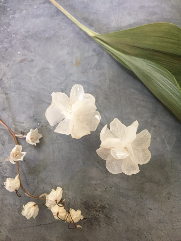 白紫陽花のブーケ イヤリング 2枚目の画像