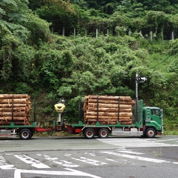 おばけパズルのLEDバッジ SUGI（熊本小国杉） 9枚目の画像