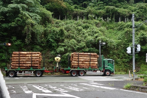おばけパズルのLEDバッジ SUGI（熊本小国杉） 9枚目の画像