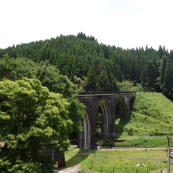 おばけパズルのLEDバッジ SUGI（熊本小国杉） 10枚目の画像