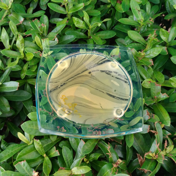 藝術渲染皂杯墊組A003    Artistic rendering soap cup plate A003 第1張的照片