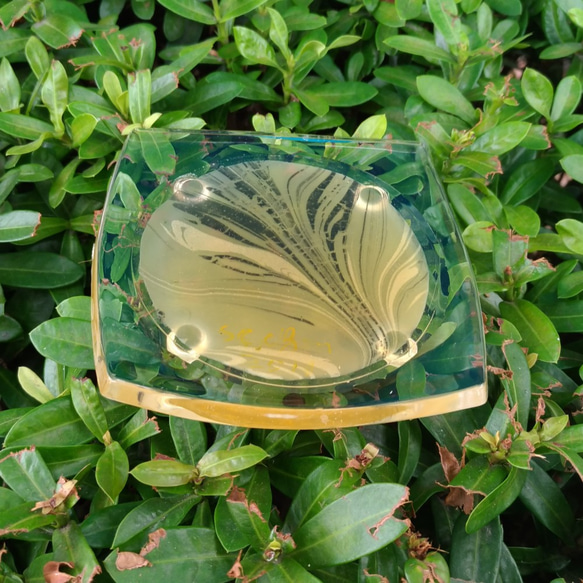 藝術渲染皂杯墊組A003    Artistic rendering soap cup plate A003 第5張的照片