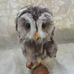 羊毛フェルト製フクロウの置物　シロフクロウ　18㎝ ハンドメイド 羊毛フェルト製置物 シロフクロウ - メルカリ