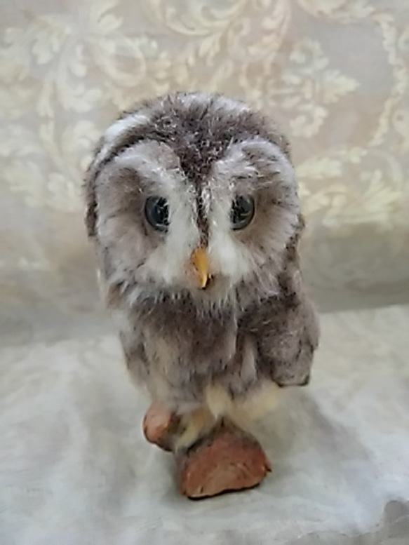 モリフクロウ☆2/3 サイズ☆羊毛フェルト