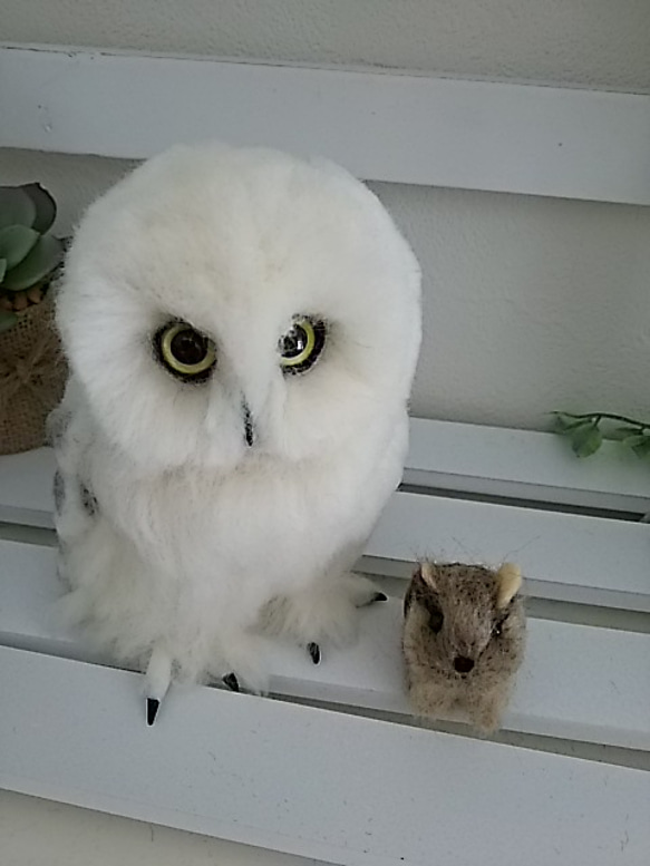 フクロウの置物羊毛フェルト製　ホワイトアメリカワシミミズク 羊毛フェルト製フクロウの置物 アメリカワシミミズクホワイト19