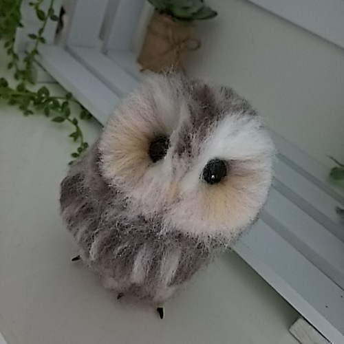 羊毛フェルト製フクロウのヒナ(箱の中) 羊毛フェルト max910