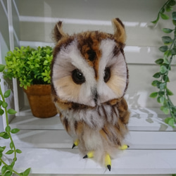 羊毛フェルト製フクロウのヒナ 羊毛フェルト max910 通販