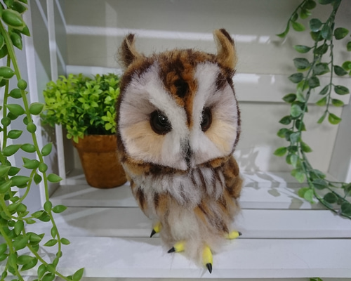 0_6d2c84c3543a41757c949beb8bb6