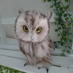 羊毛フェルト製フクロウのヒナ 羊毛フェルト max910 通販