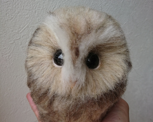 羊毛フェルト製フクロウのヒナ 羊毛フェルト max910 通販