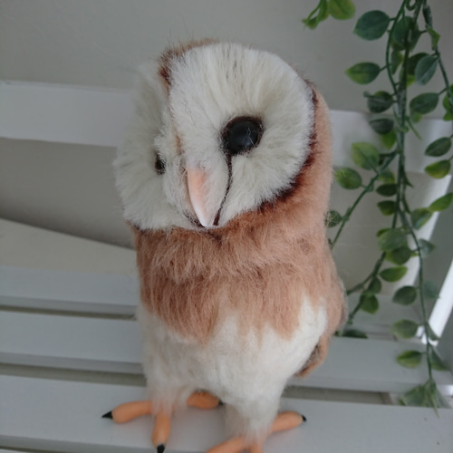 羊毛フェルト製メンフクロウ 羊毛フェルト max910 通販 5874672