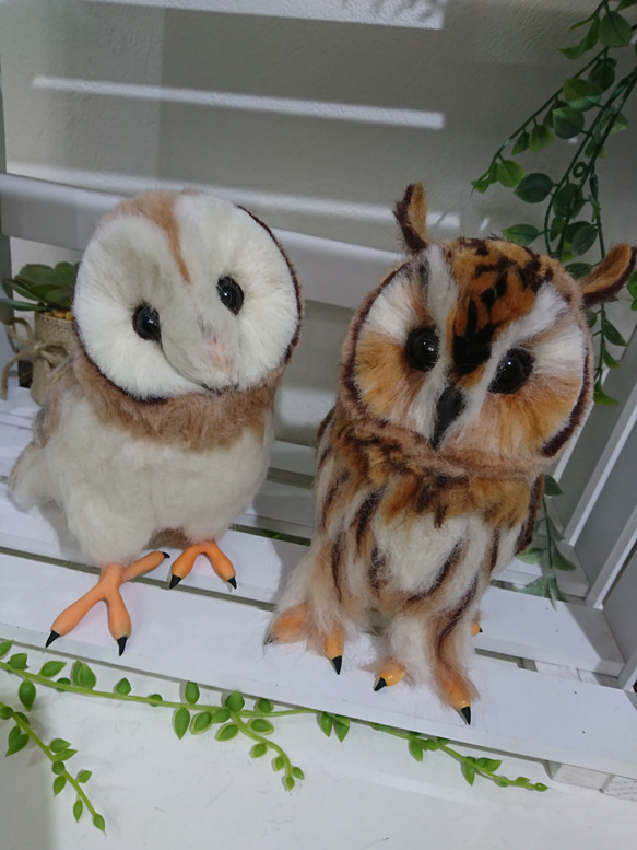 福ろうさん専用 ふくろうの森 みかんさん専用