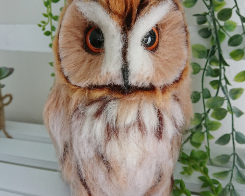 羊毛フェルト フクロウの置物 トラフズク 羊毛フェルト 重かっ フクロウの置物 トラフズク - 置物