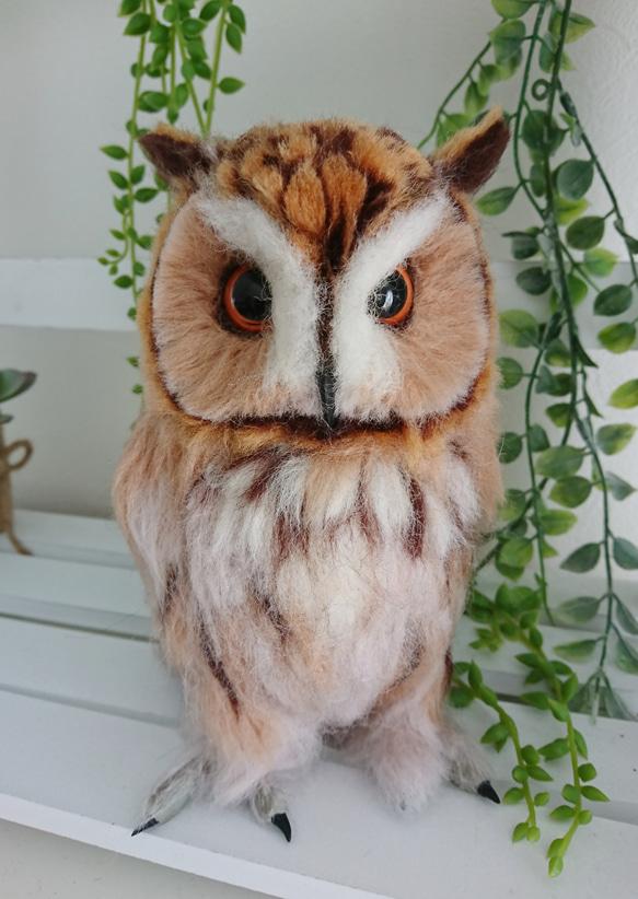 羊毛フェルト フクロウの置物 トラフズク 羊毛フェルト 重かっ フクロウの置物 トラフズク - 置物
