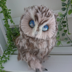 羊毛フェルト製置物 フクロウのヒナ 羊毛フェルト max910 通販