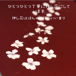 【本物の桜】ソメイヨシノ 花びらピアス　チタン 5枚目の画像