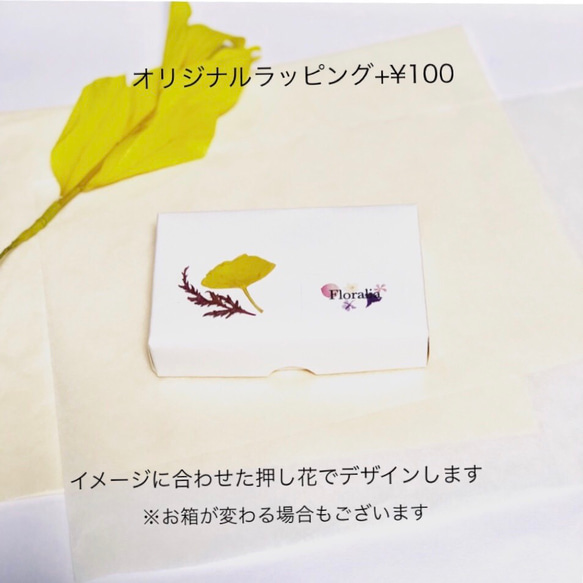 【本物の桜】ソメイヨシノ 花びらピアス　チタン 8枚目の画像