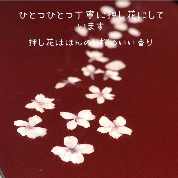 本物の桜ゆれる ピアス/イヤリング ｱﾚﾙｷﾞｰ対応 6枚目の画像