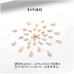 本物の桜ゆれるネックレス 6枚目の画像