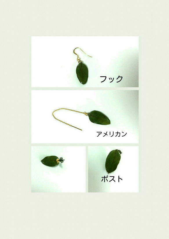 桉樹葉耳環（有簡易戒指）可選金屬配件兼容合金 第3張的照片
