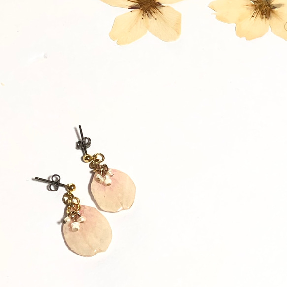 櫻花吉野櫻花和淡水珍珠耳環/耳環 第2張的照片