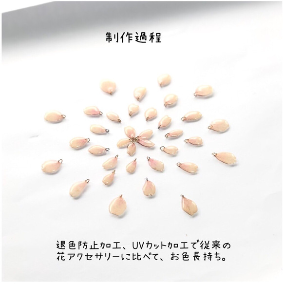 桜ソメイヨシノと淡水パールのピアス/イヤリング 7枚目の画像