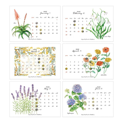 Botanical Desk Calendar 2022 卓上ボタニカルカレンダー2022 2枚目の画像