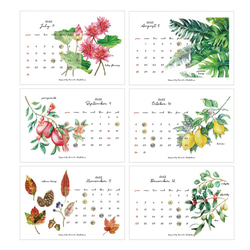 Botanical Desk Calendar 2022 卓上ボタニカルカレンダー2022 3枚目の画像