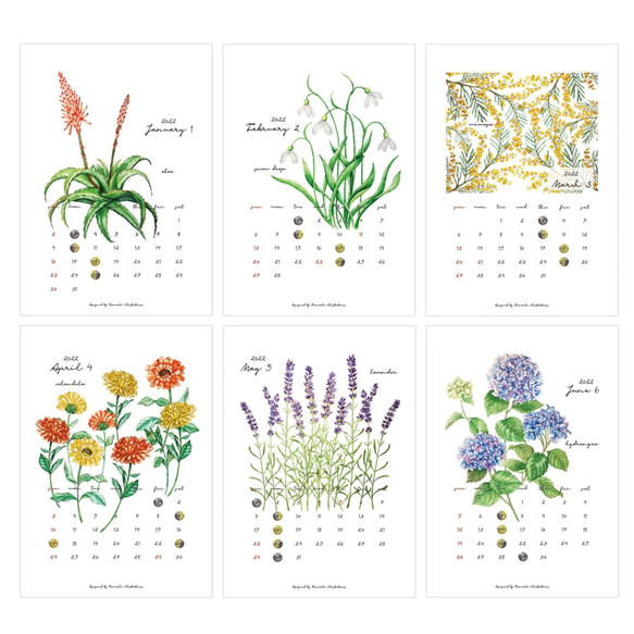 Botanical Calendar 2022 ボタニカルカレンダー2022 2枚目の画像