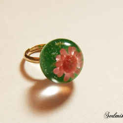 【SALE】Flower Candy Ring / GR 1枚目の画像