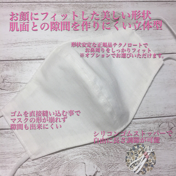 抗ウィルス+銀の糸Agイオンの『守るマスク』メッシュポケット付き 6枚目の画像