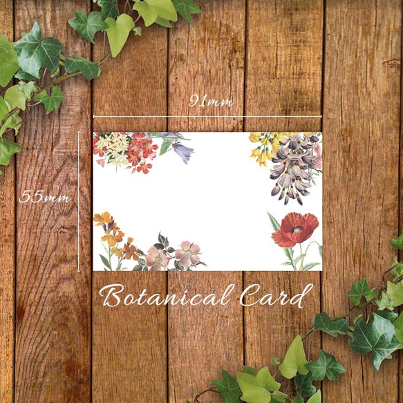 ボタニカルカード*botanical card* 1枚目の画像