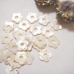 天然貝のお花たち 8個入り ホワイト シェル 1枚目の画像