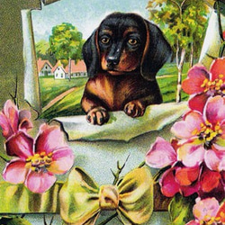ドイツ製ポストカード【Germay】2枚セット（花の贈り物／野ばらとダックスフント） 2枚目の画像