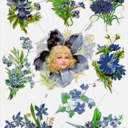 ドイツ製クロモス 青い花の精 ラメなし　DA-CH037 1枚目の画像