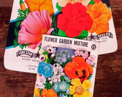 海外　シードパケット3枚　ヴィンテージ 0_4721b97845fc1e06488acf655568