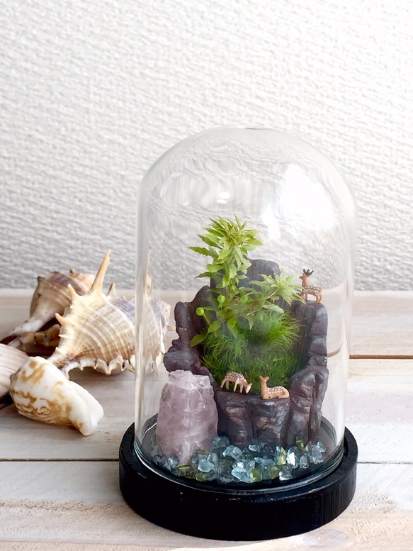 《※受注制作品》苔ドーム　シカの楽園 3枚目の画像