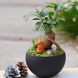 0_616a057f4fe82169cbc7d5ddb8eb