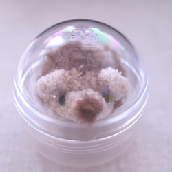 総子のパーム - ボタン卵のハリネズミ 4枚目の画像