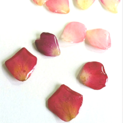 薔薇のピアス　樹脂ポスト　2 5枚目の画像