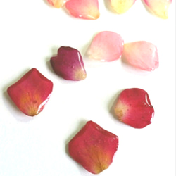 薔薇のピアス　樹脂ポスト　3 5枚目の画像