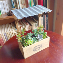 トタン屋根の多肉植物寄せ植え アートフラワー アトリエこぐま 通販